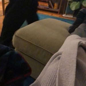 Meet your Posher, Elizabeth